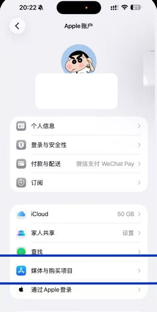 Apple 账户页面，点击「媒体与购买项目」